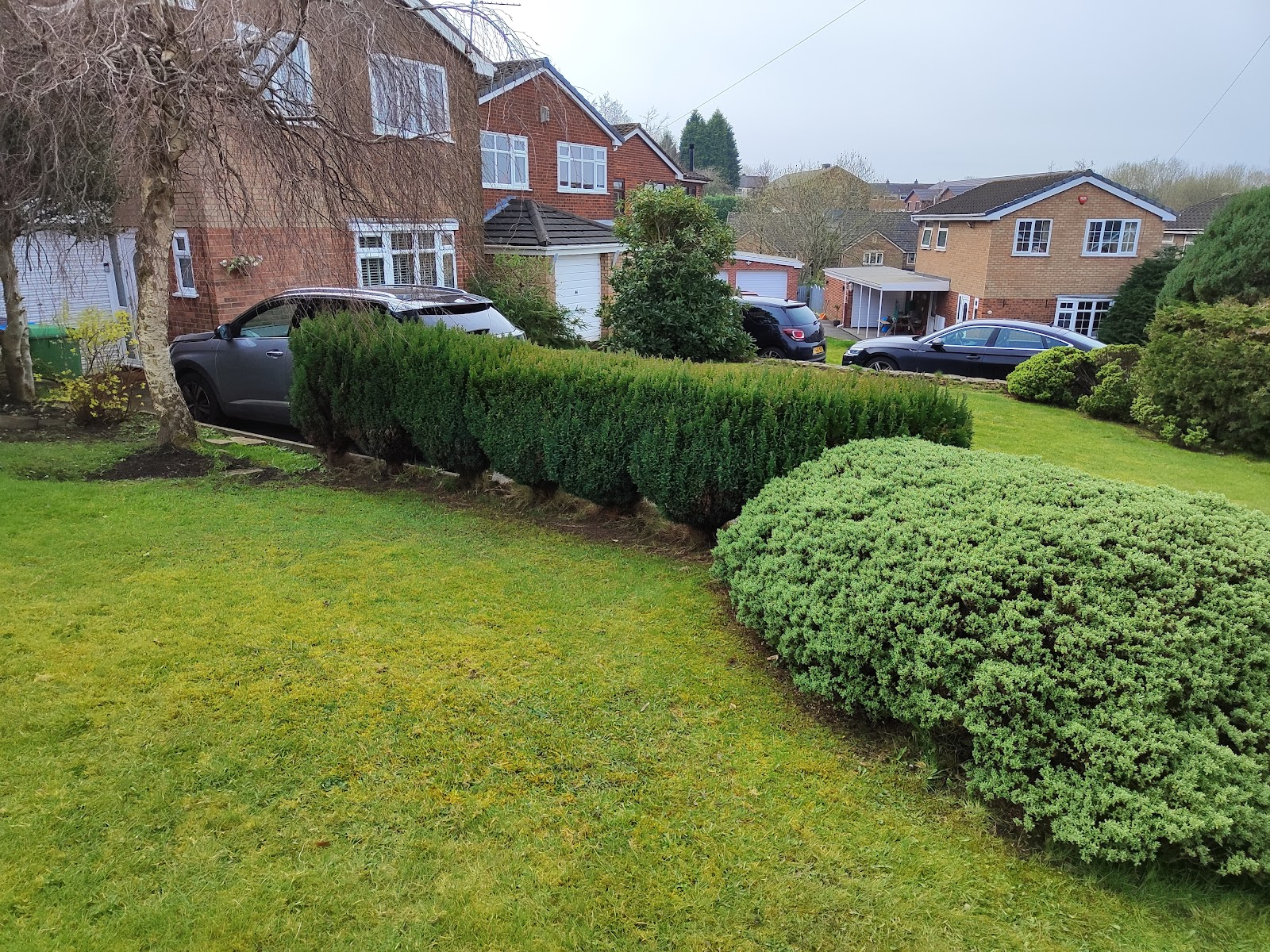 Hedge cutting in Shaw, Oldham