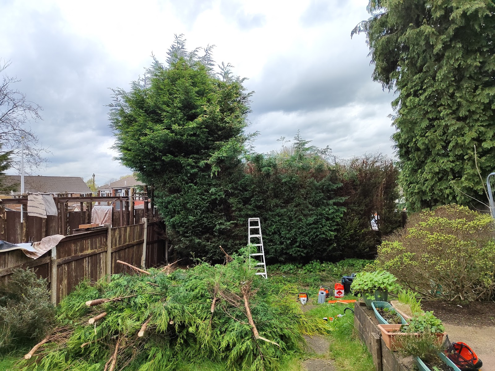 Tree work in Greater Manchester