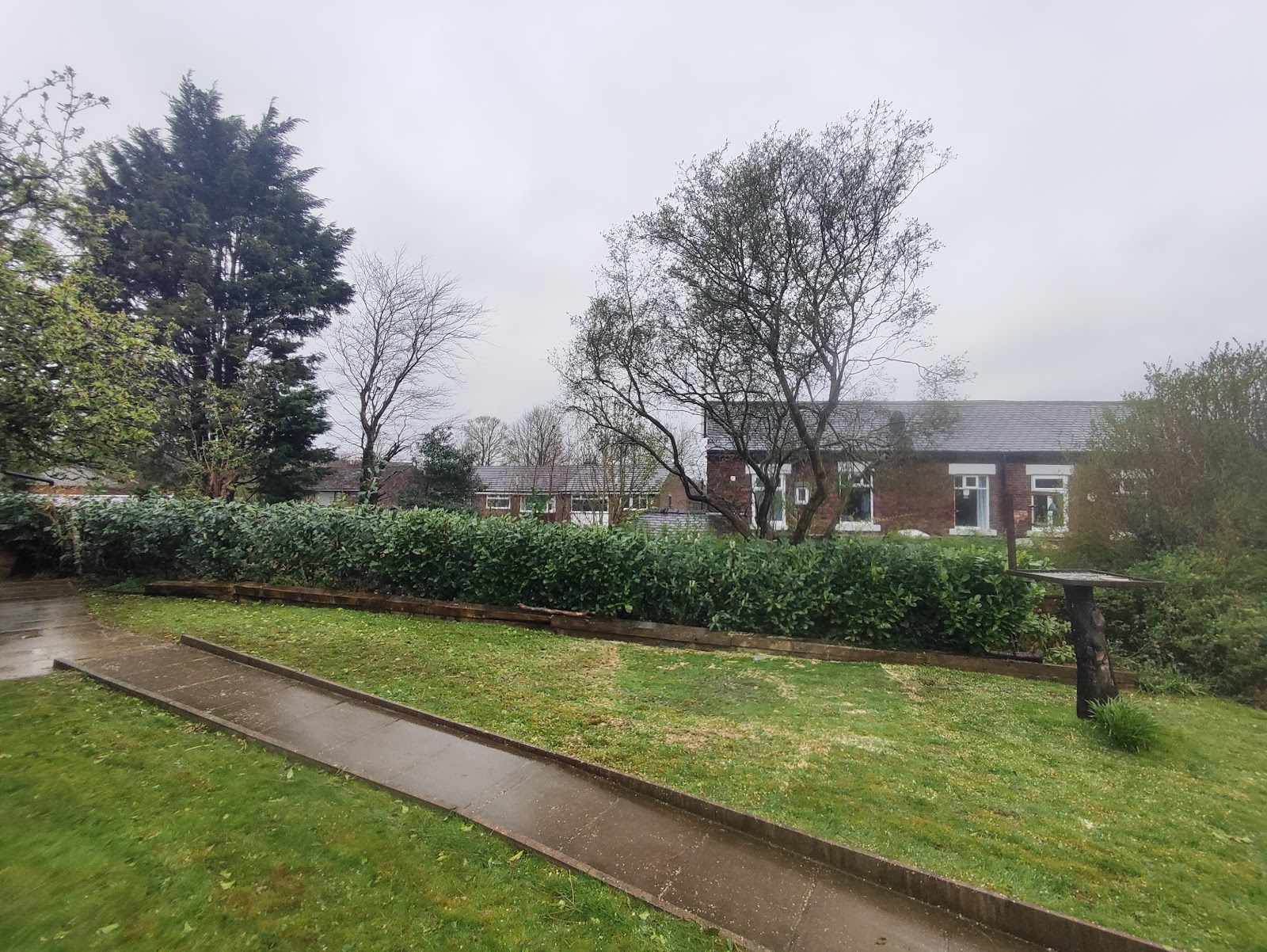 Tree surgery work in Oldham by JB Tree and Hedge Care